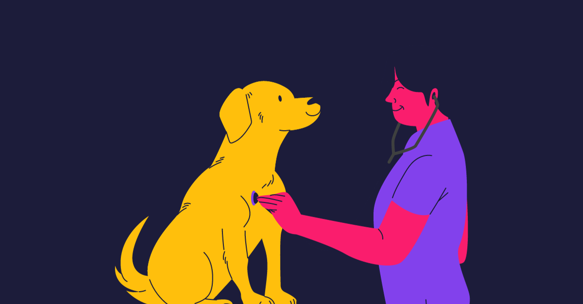 A Beginner's Guide to CPD for Vet Nurses